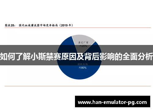 如何了解小斯禁赛原因及背后影响的全面分析 如何了解小斯禁赛原因及背后影响的全面分析