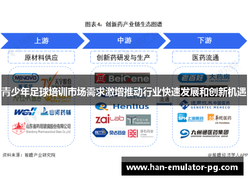 青少年足球培训市场需求激增推动行业快速发展和创新机遇