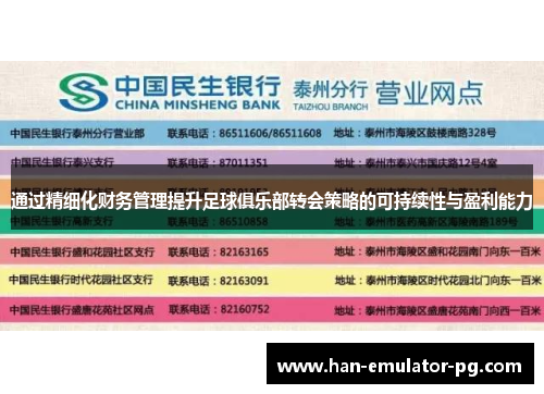 通过精细化财务管理提升足球俱乐部转会策略的可持续性与盈利能力