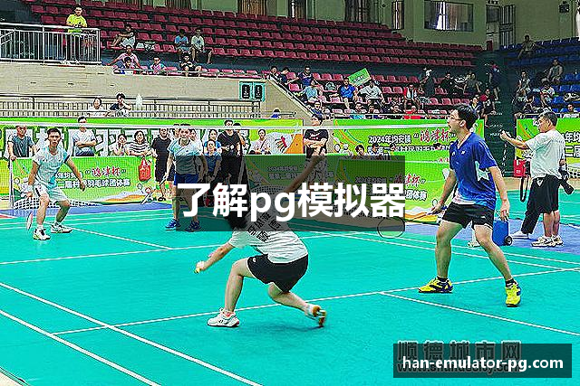 了解pg模拟器